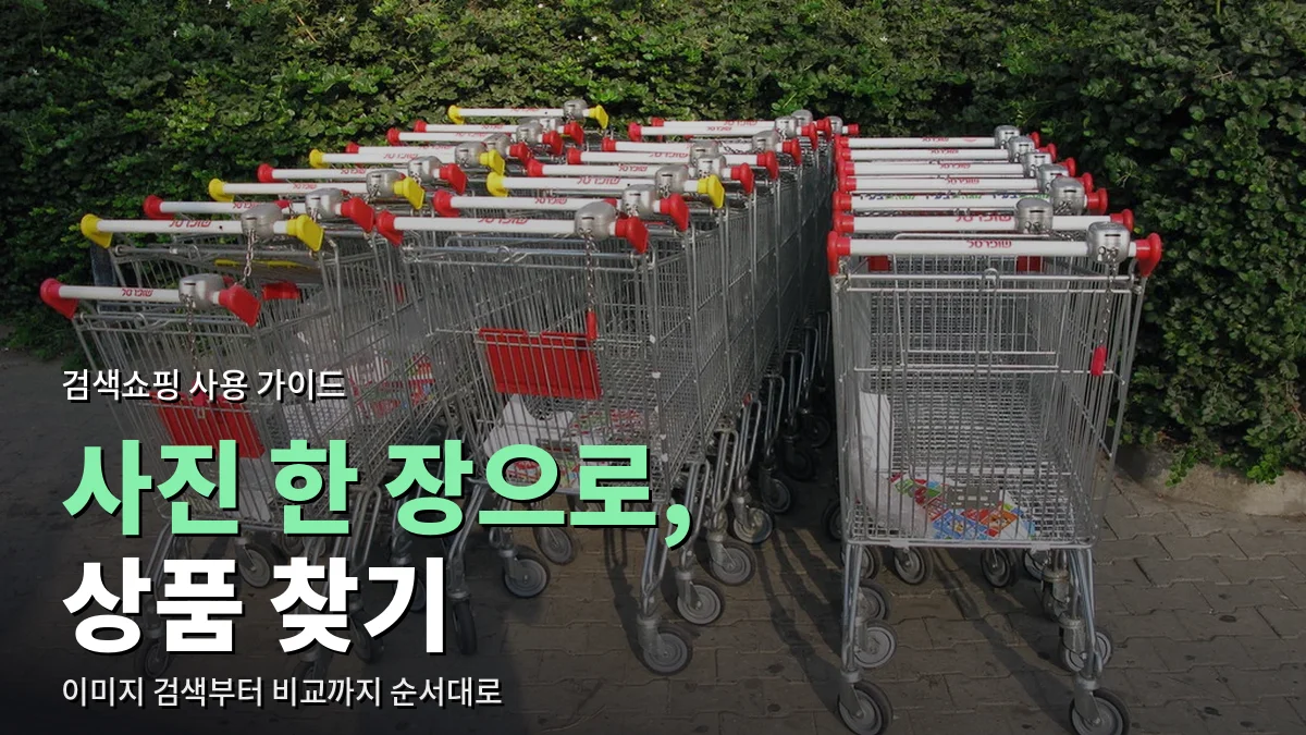 건물 앞 보도에 줄지어 겹쳐 세워 둔 쇼핑 카트