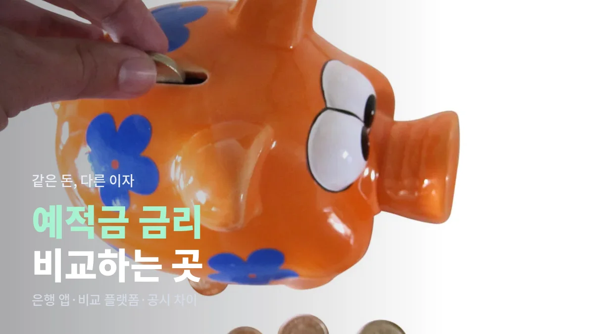동전을 넣는 돼지 저금통